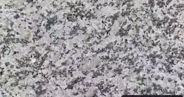 吐鲁番 芙蓉白（芝麻白大花）火烧面