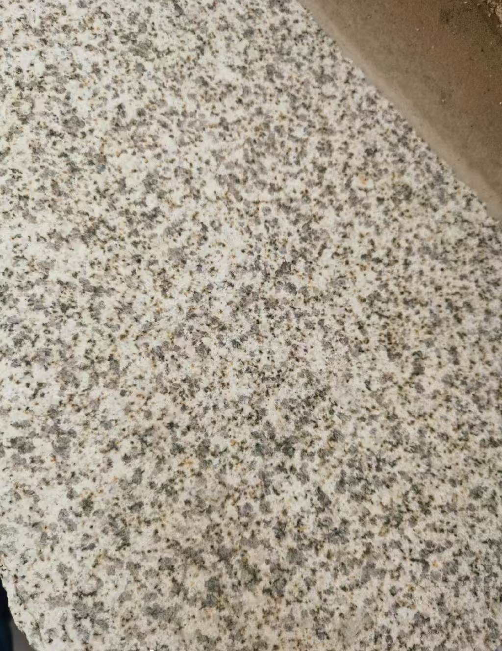 吐鲁番 黄金麻中黄光面
