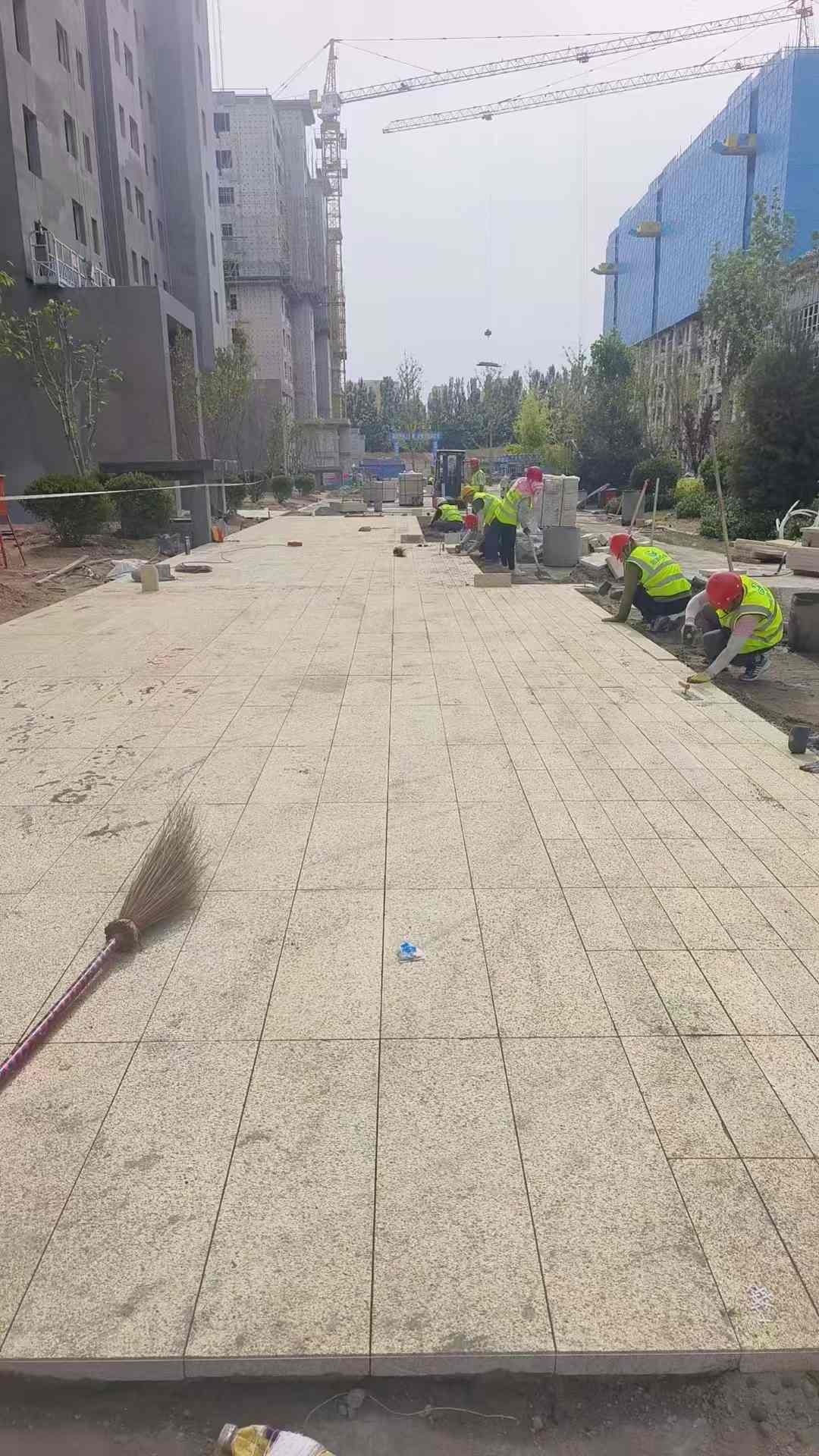吐鲁番黄金麻荔枝面地铺案例