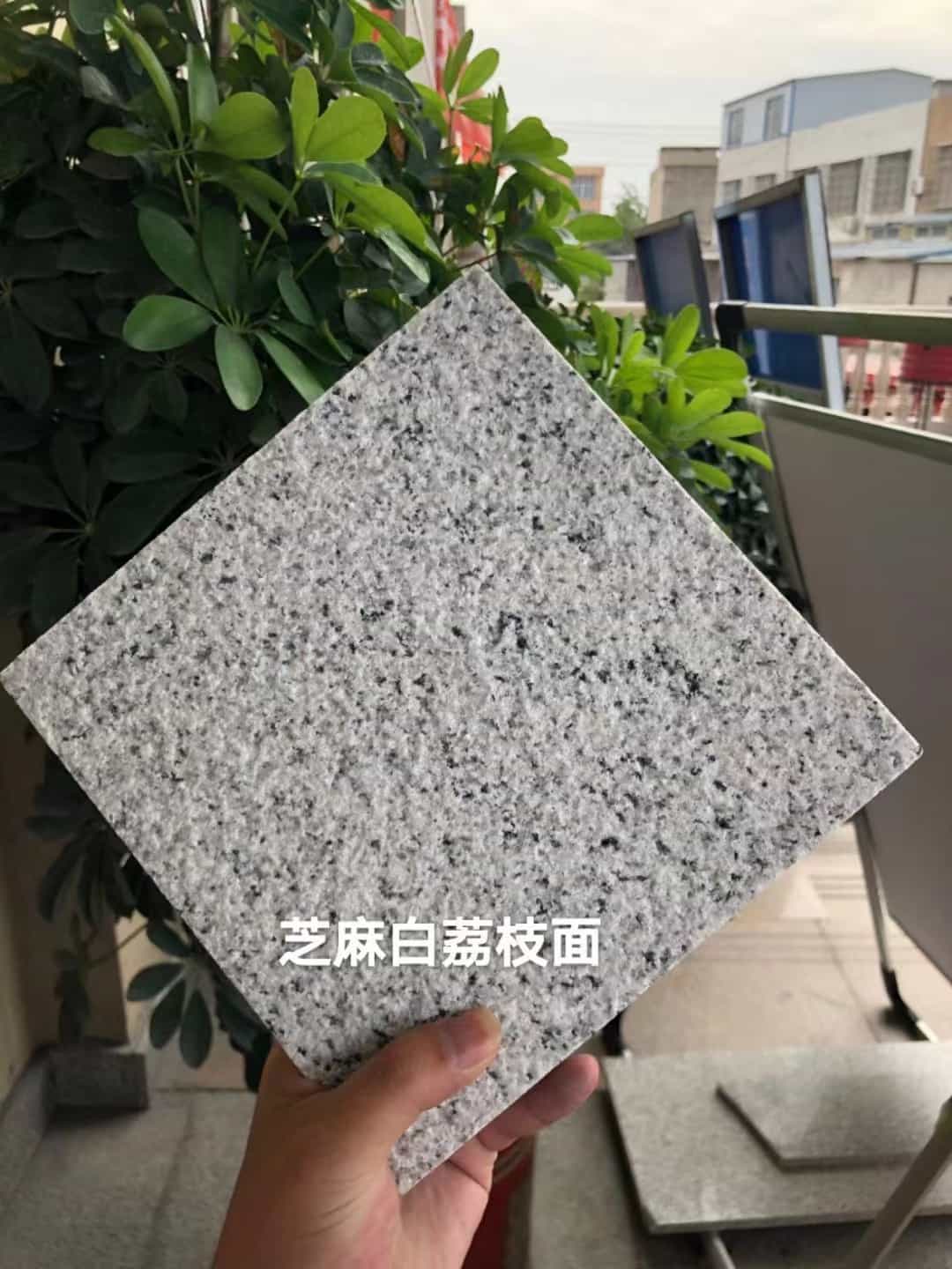 吐鲁番 芝麻白荔枝面干挂