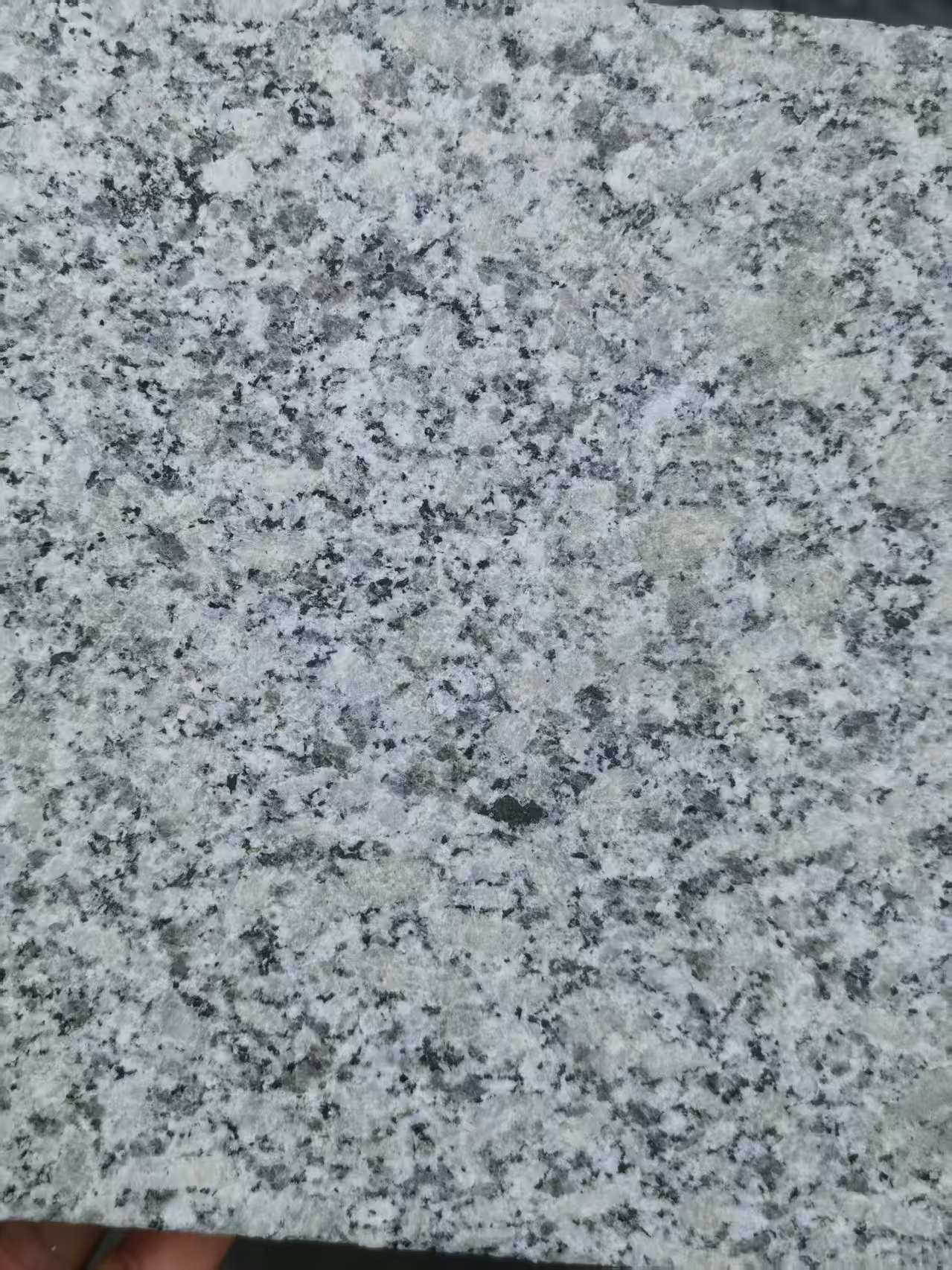 吐鲁番 芙蓉白火烧面